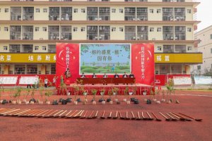 “植”此青绿，共“树”未来 | 我校开展2024年校园植树活动！